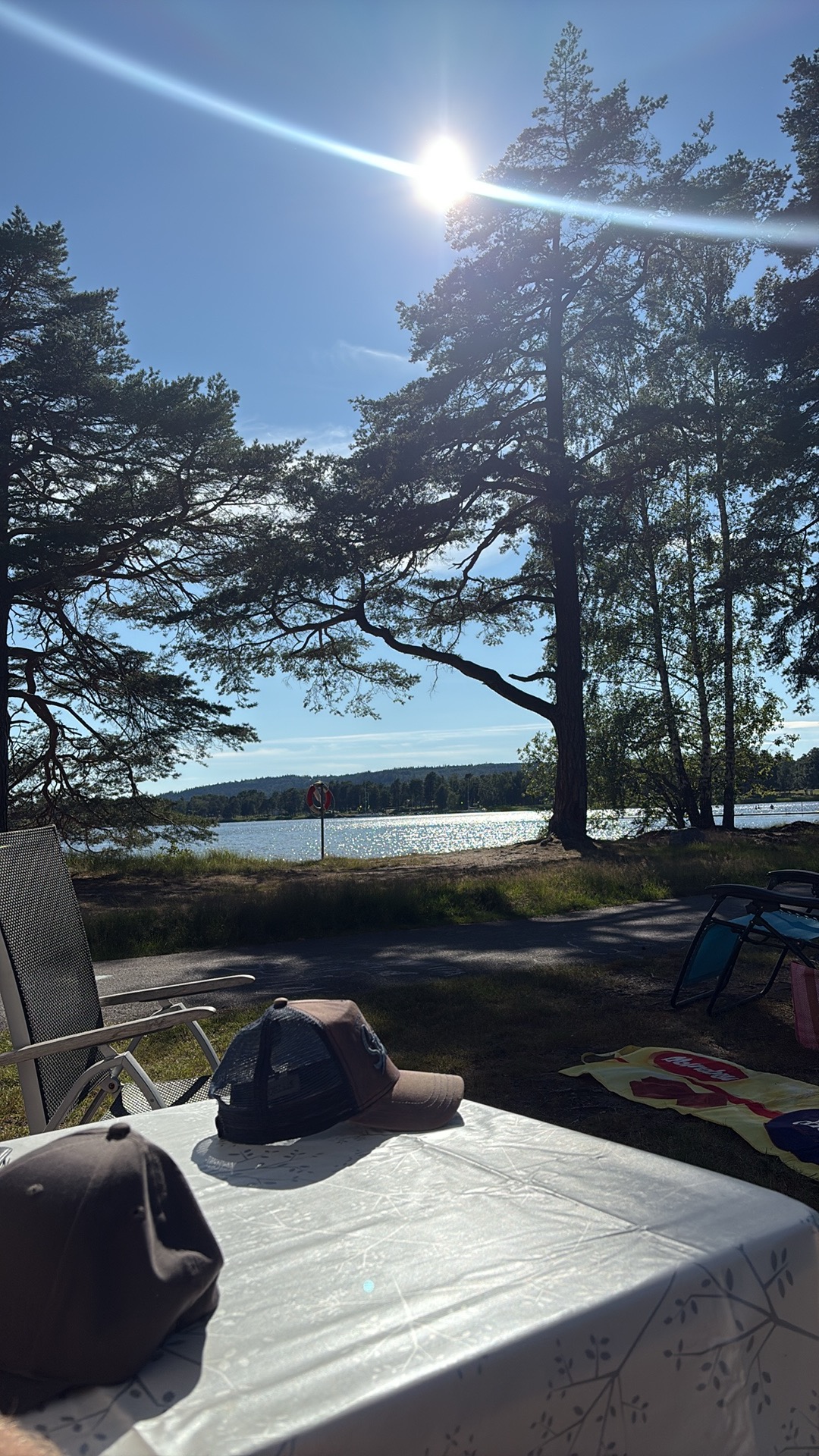 Läger vid sjön med sol genom tallarna
